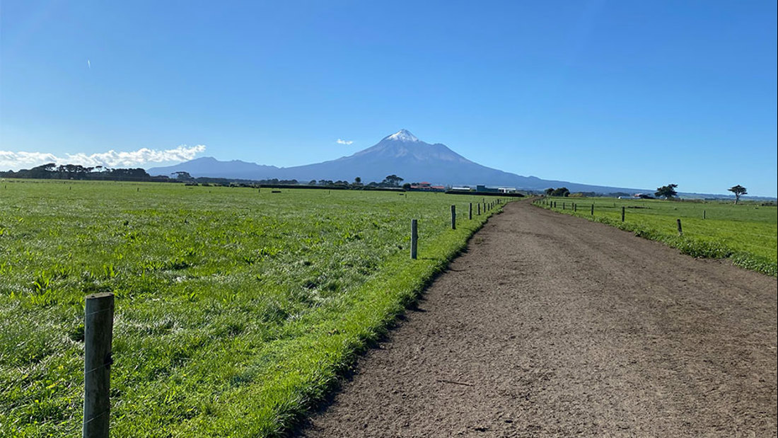 Taranaki Organic Fencing And Races