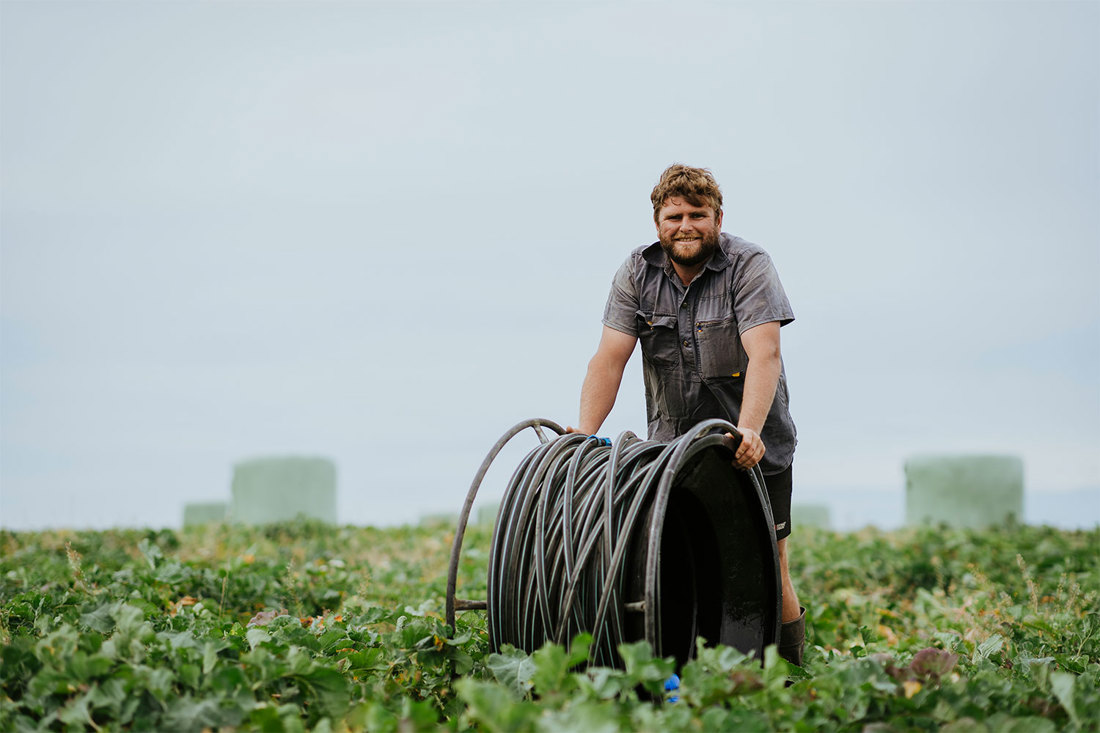 Wintering Luke Templeton Southland Dairy Farmer 1500X1000