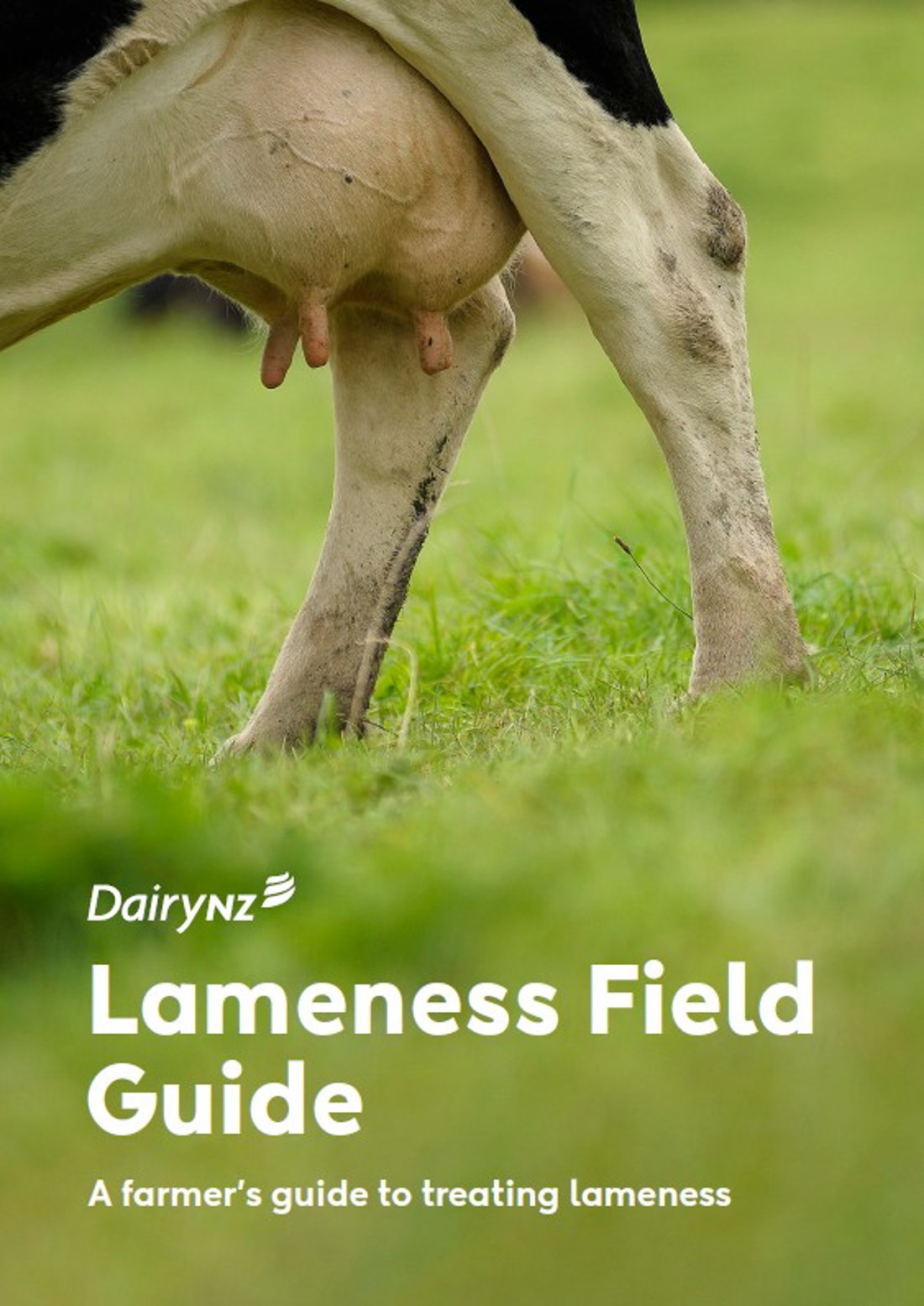 Lameness Field Guide 2025 Image