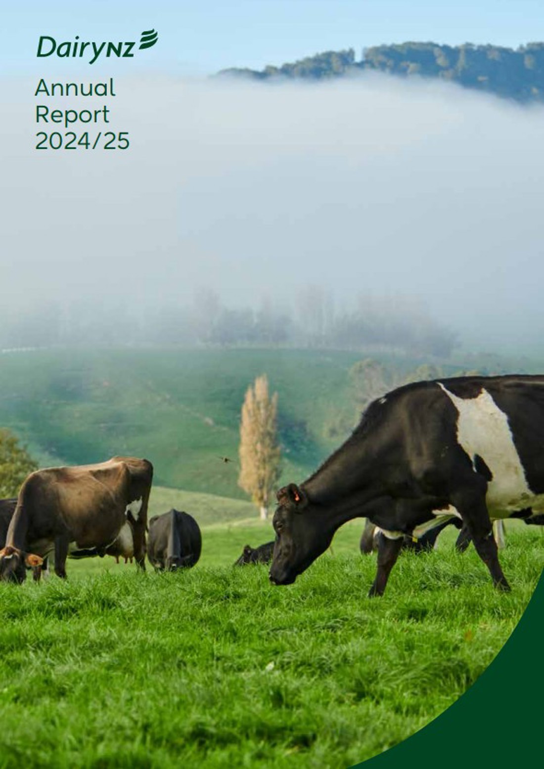 Annual Report 2024 2025 Cover Image