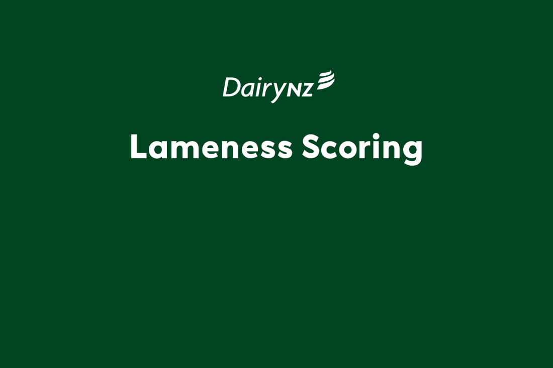 Lameness Scoring Video Placeholder Image (1)
