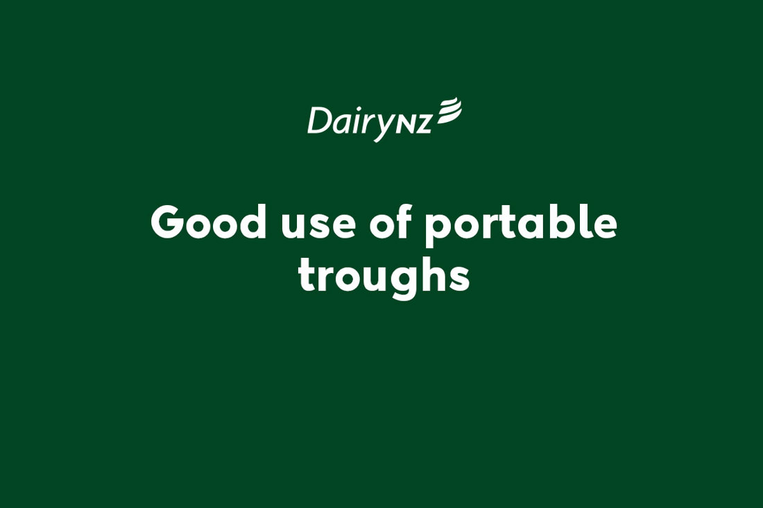 Good use of portable troughs during winter grazing
