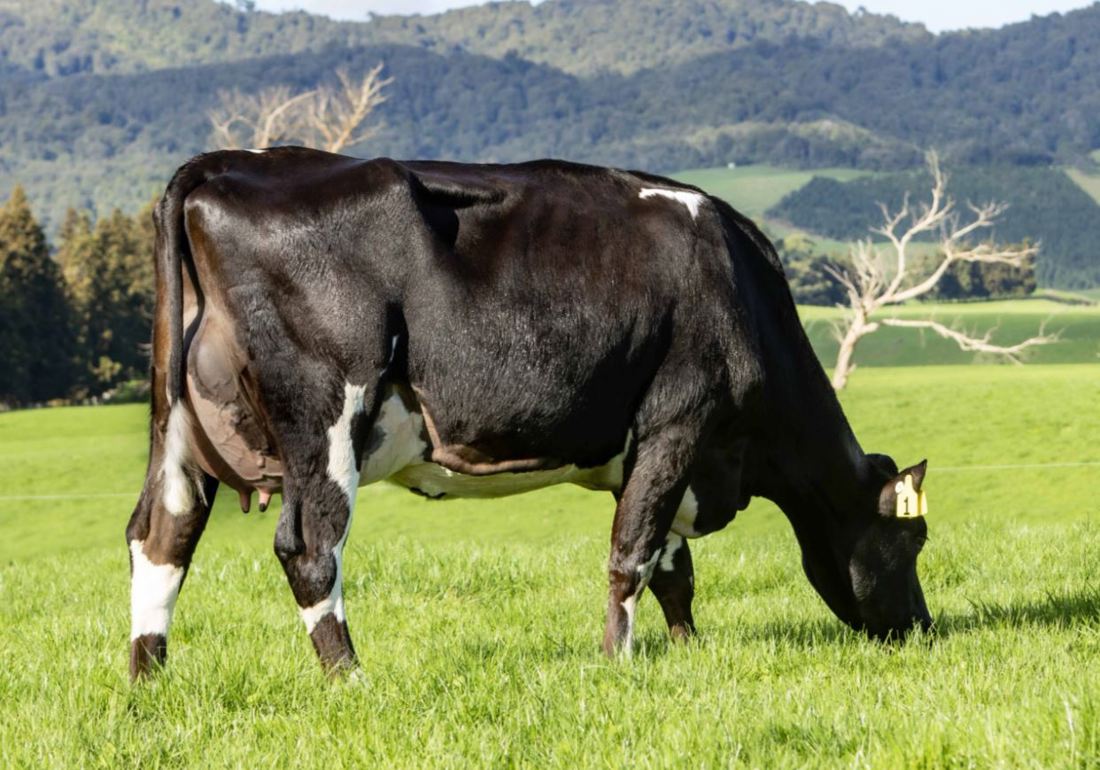 Inside Dairy Feb To April 2025 Bill And Michelle Burgess 3