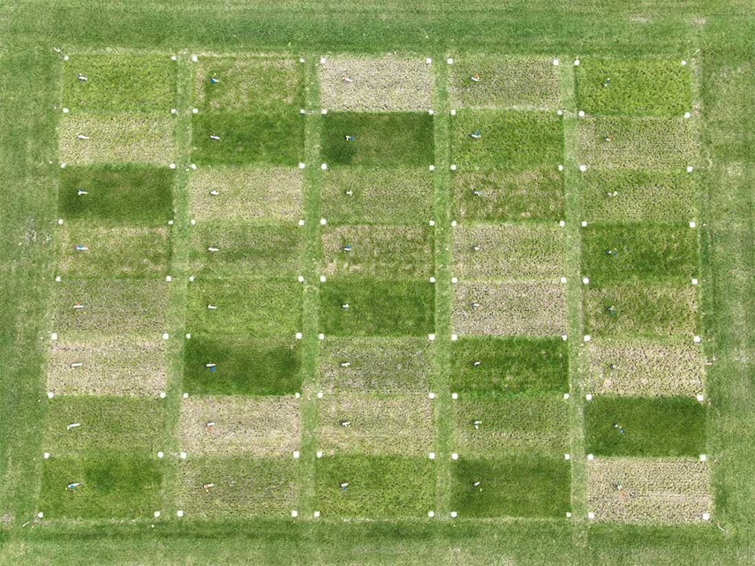 Replicated Plot Study 1000X750
