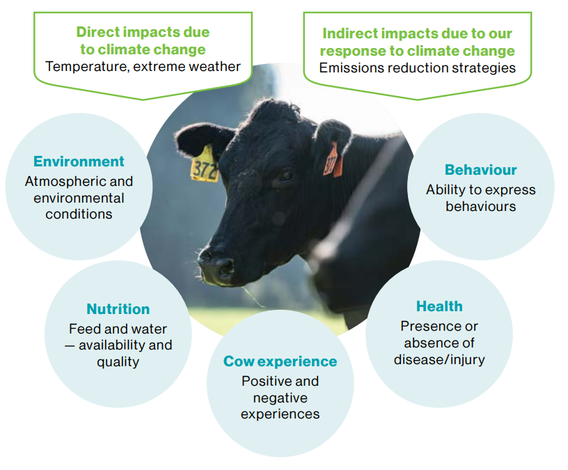 Impact of climate change