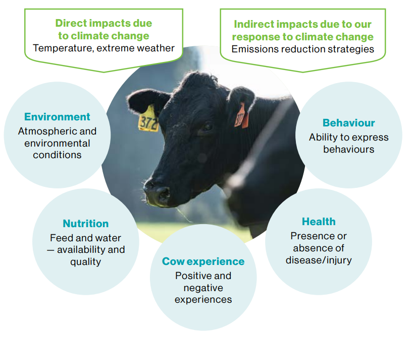 Impact Of Climate Change On Animals