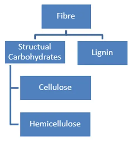 Fibre