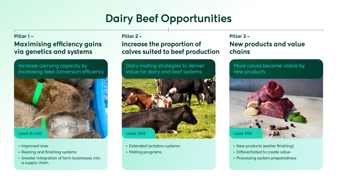 Dairy Beef Opportunities Pillars Infographic V4