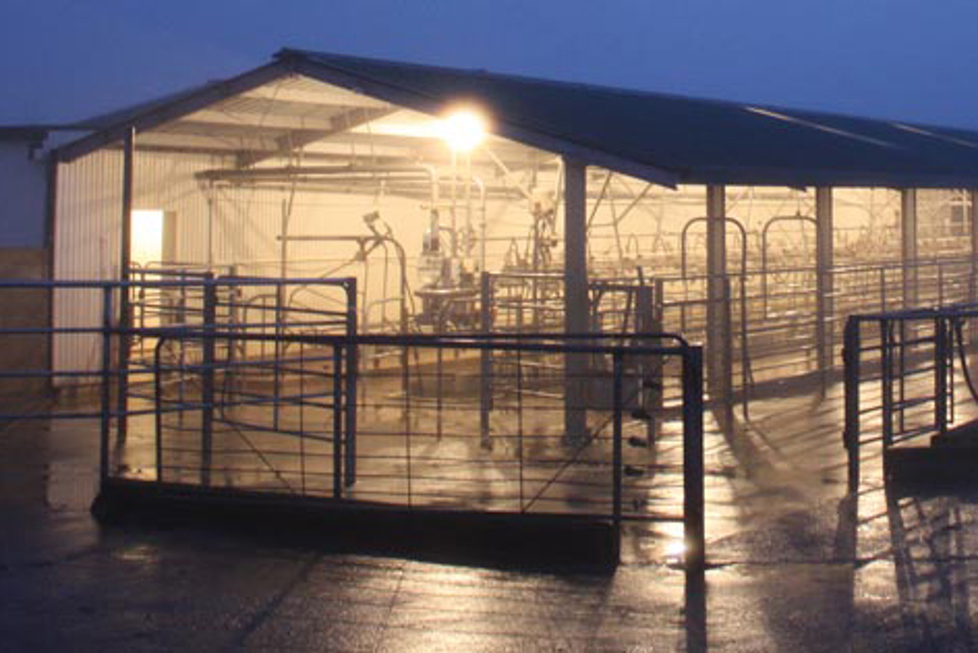 Milking Disposal (1)