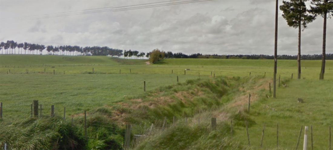 Riparian Panting Manawatu Hastings Image2 1200X541