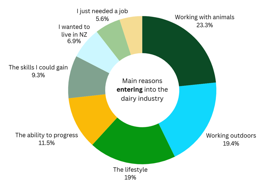 Why Respondents Entered Dairy Sector 2025 V5