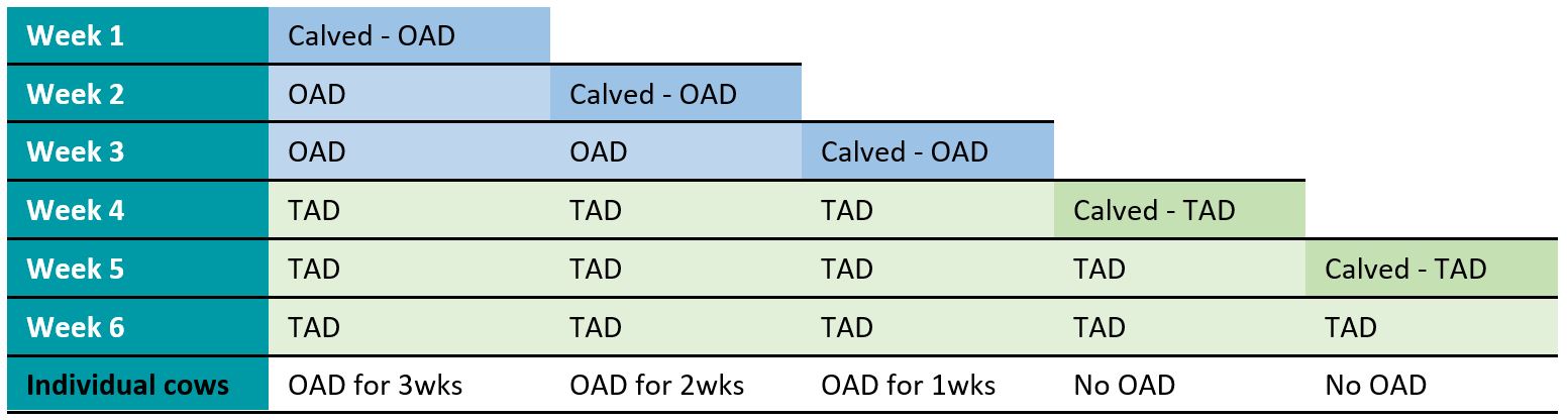 Early Lactation OAD for 3 weeks