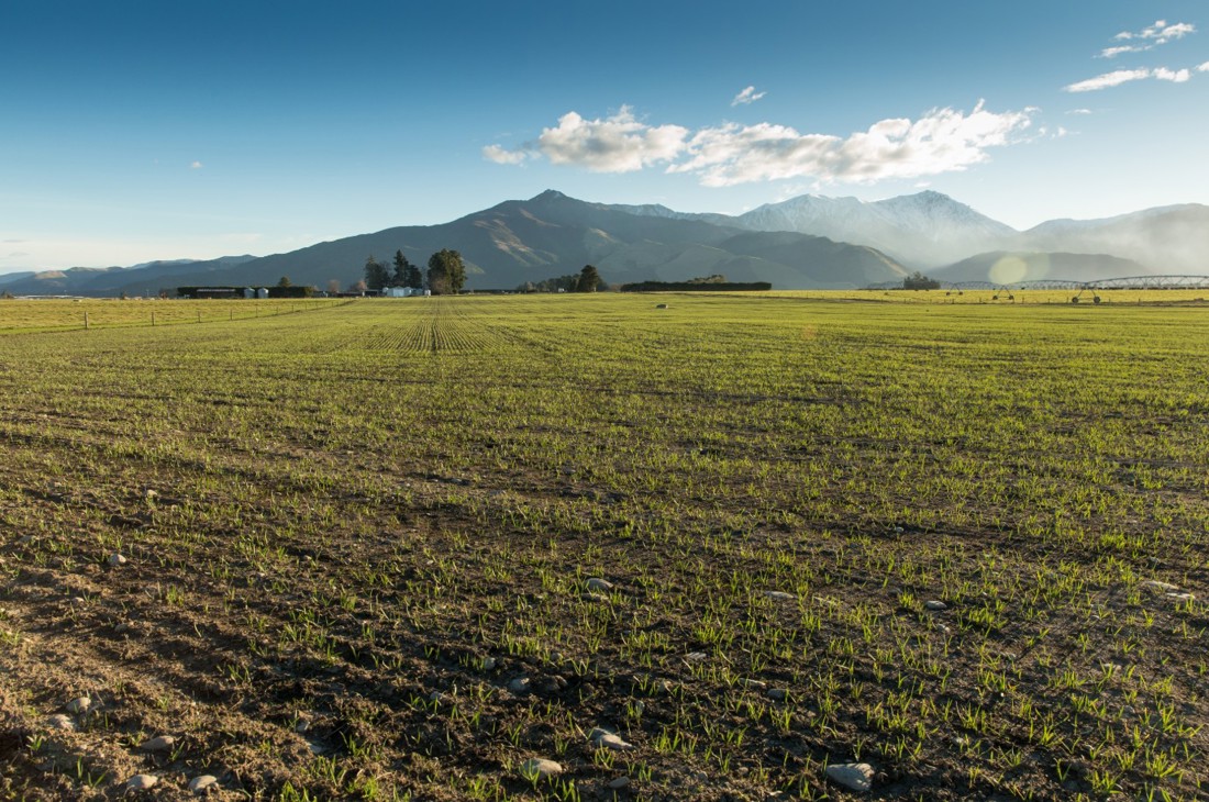 Rural Professionals Hub Agronomist Feed Solutions Image