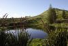 Riparian Planting Image 2