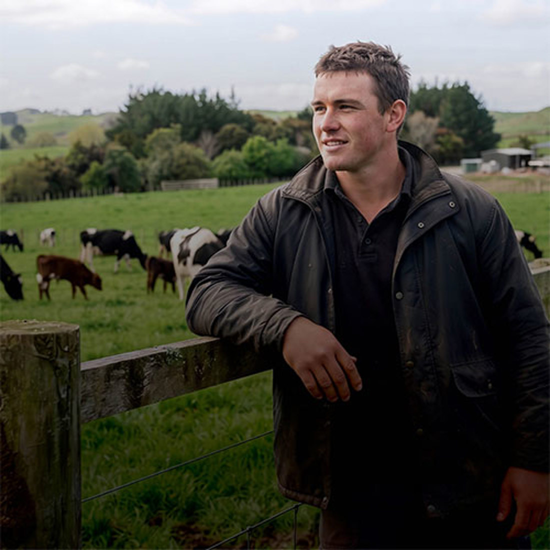 Dairy Training Spring Campaign 500SQ