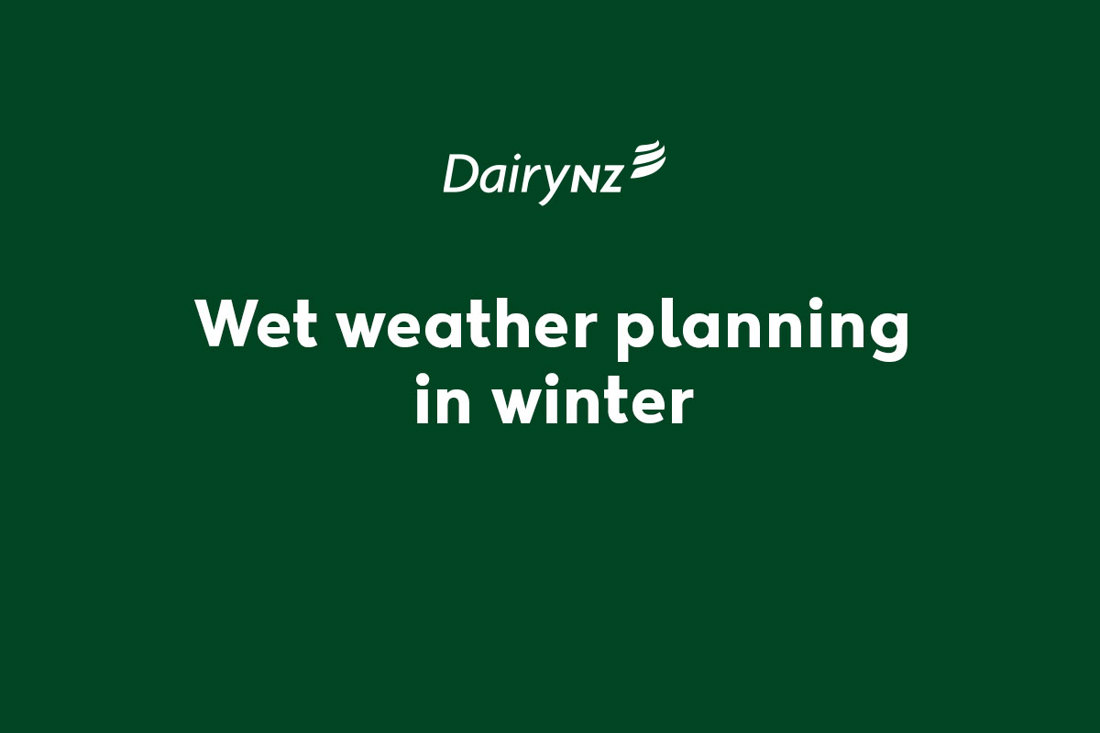 Wet weather planning in winter and during winter grazing