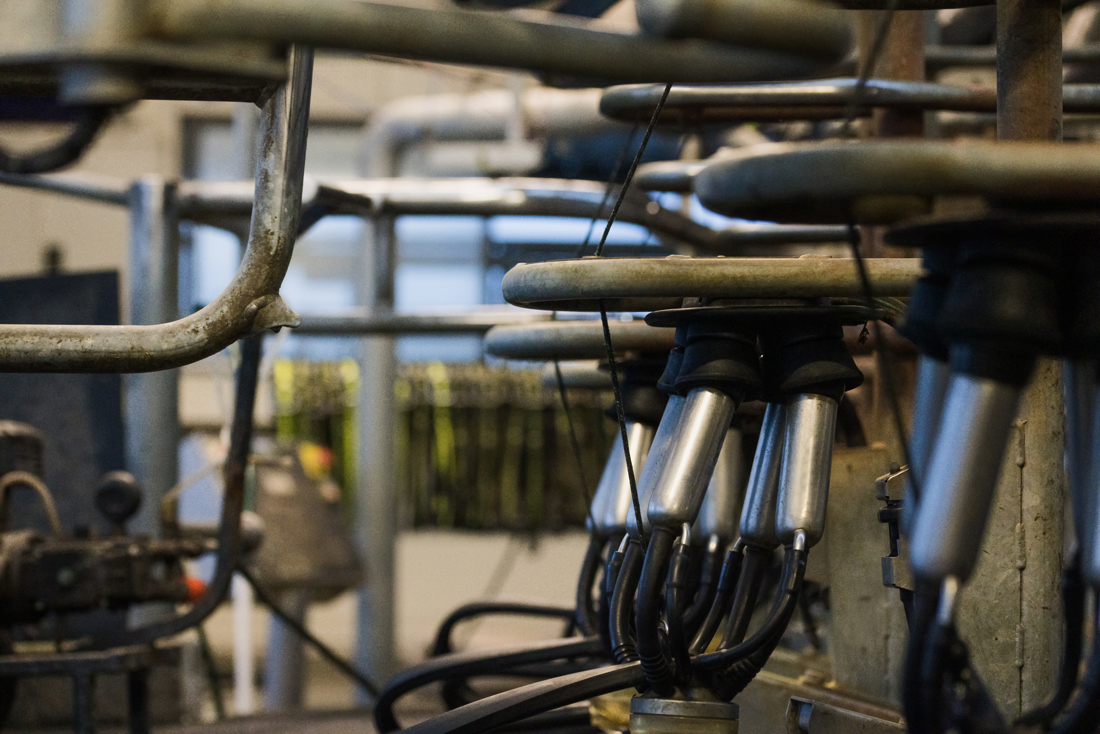 A set of milking equipment