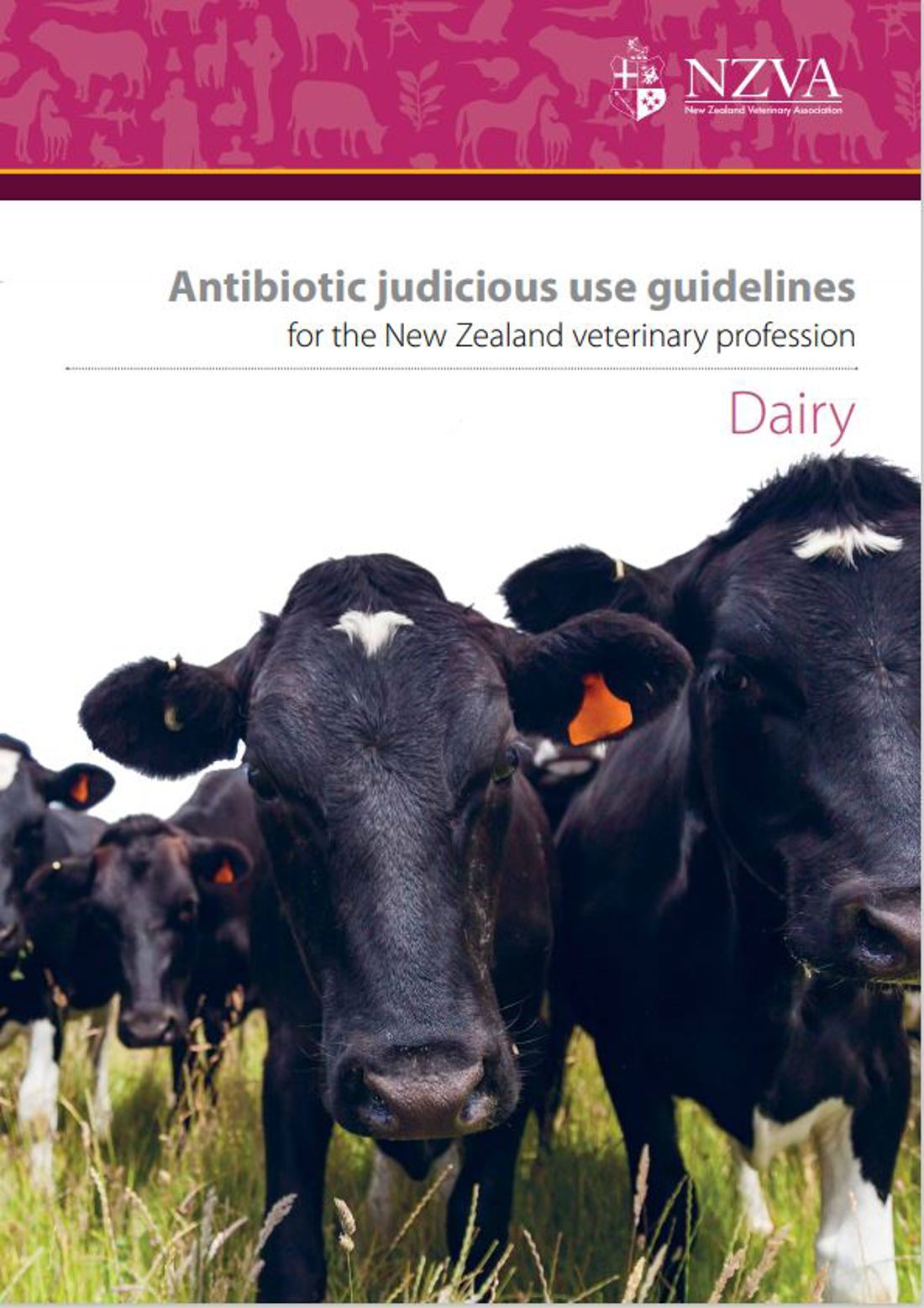 Antibiotic Judicious Use Guidelines Image