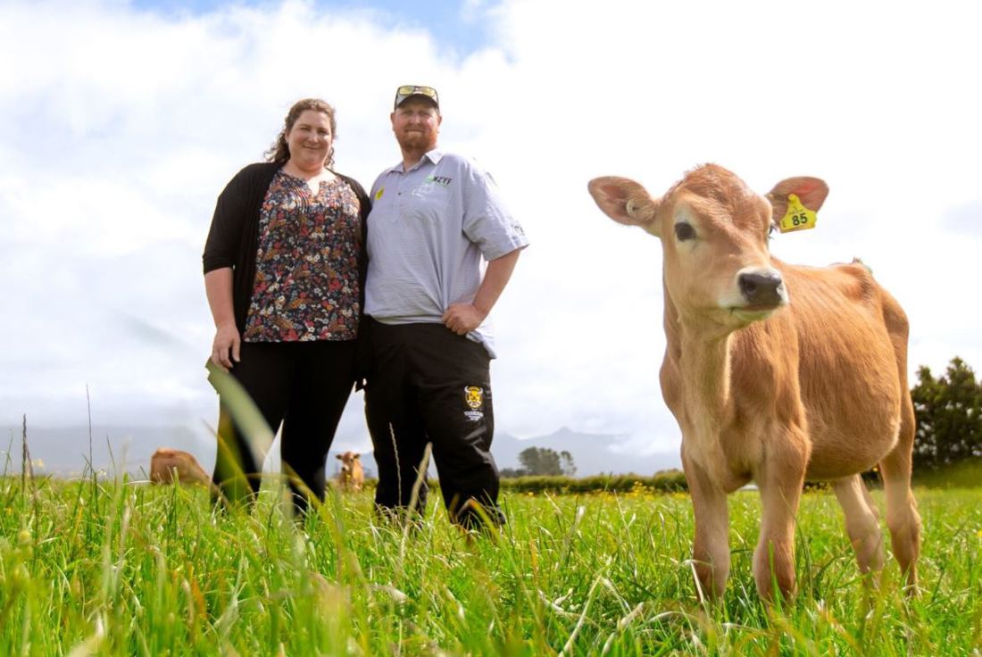 Inside Dairy Feb April 2025 Genetics Driving Jersey Power Image 1