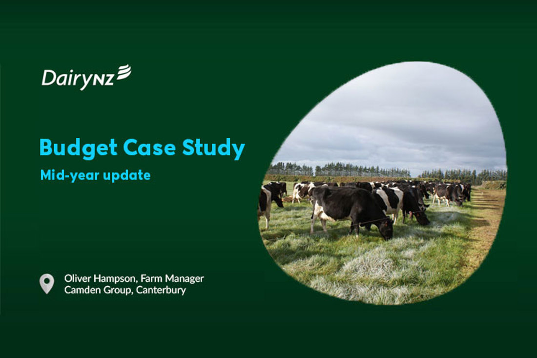 Budget Case Study Camden Farms Video Placeholder Image