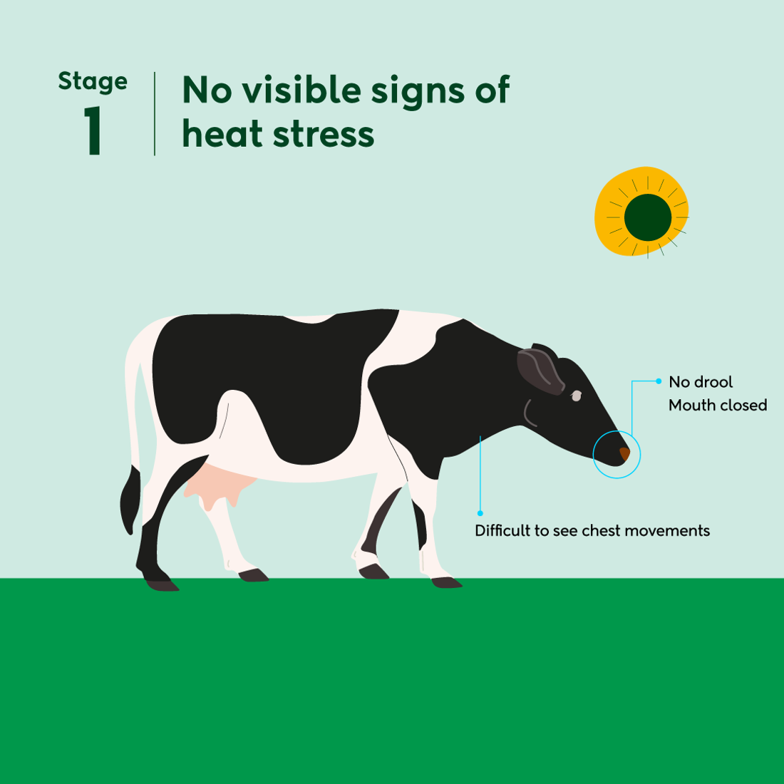 Heat Stress S1 Square
