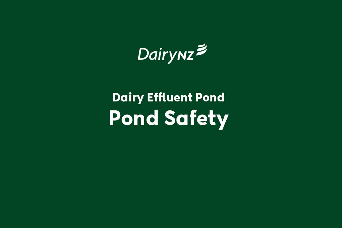Dairy Effluent Pond Safety Video Placeholder Image