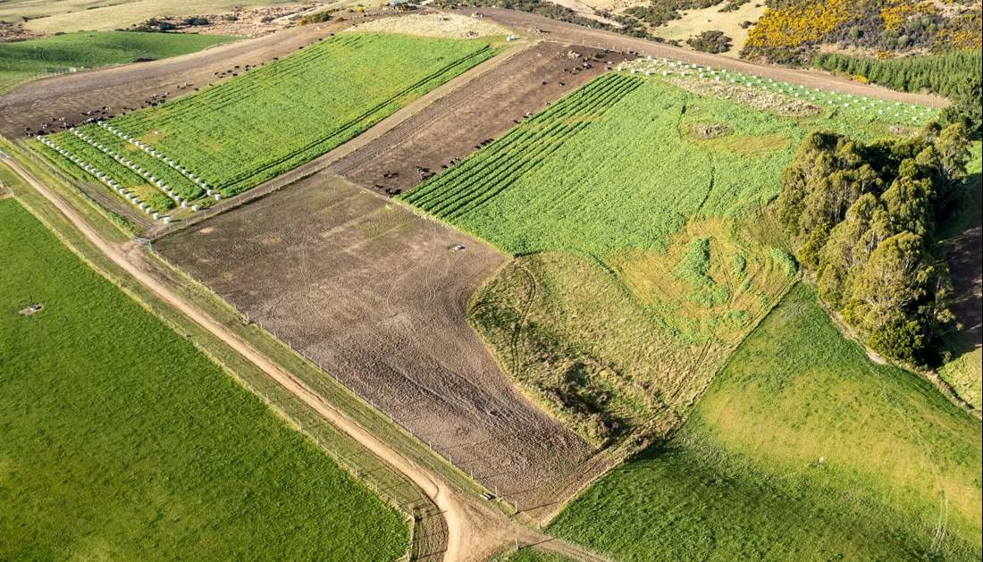 A protected Critical Source Area that is uncultivated and ungrazed in New Zealand.