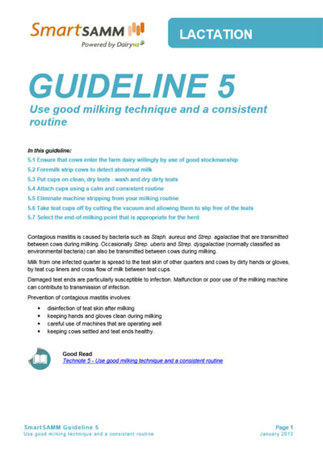 Guideline 5
