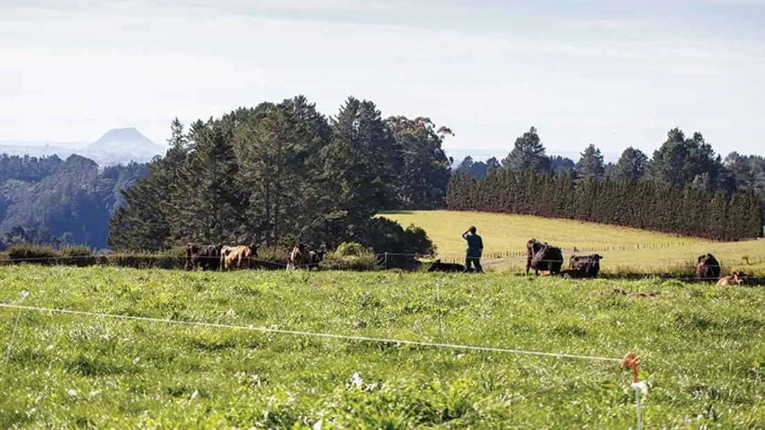 Inside Dairy October November 2020 Maxt Gordon Mcfetridge Pod10