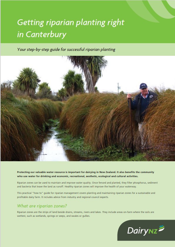 Getting Riparian Planting Right Canterbury Image