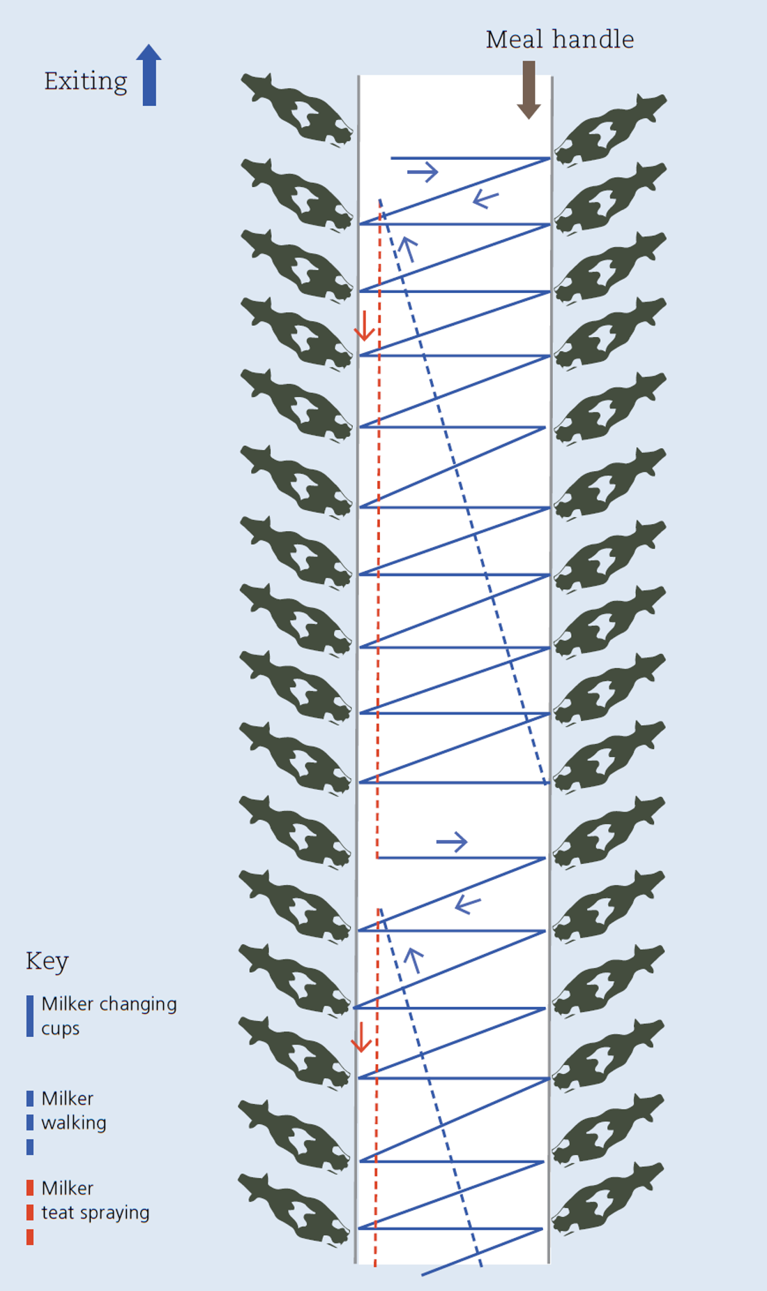 Inside Dairy October November 2020 Maxt Gordon Mcfetridge New Milking Routine Infographic V2