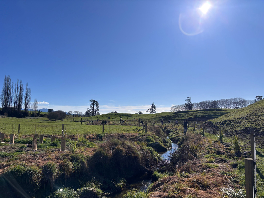 Jobs For Nature Wetland Restoration Gallery Image 4