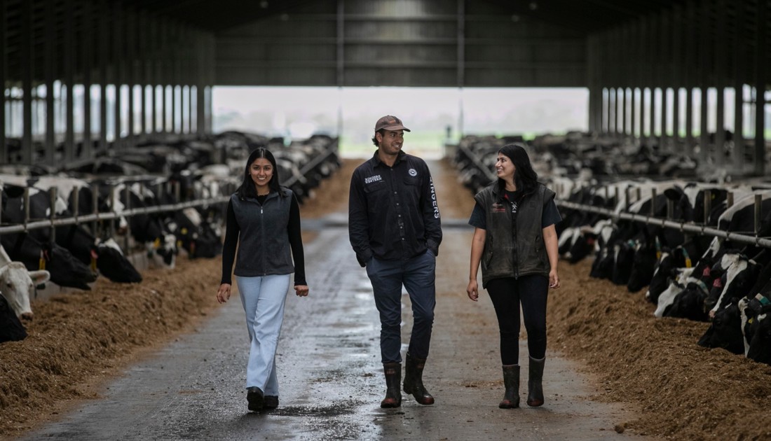 Ballance Farm Environment Awards