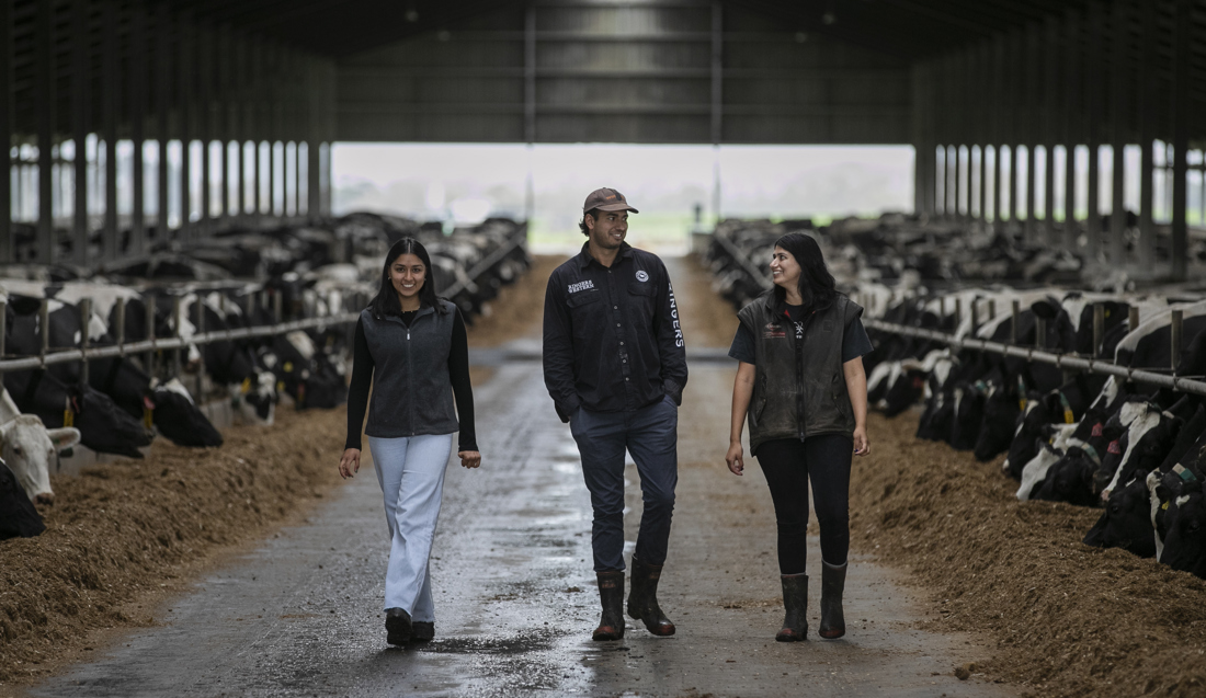 Ballance Farm Environment Awards