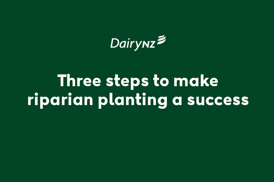 Three Steps To Make Riparian Planting A Success Video Placeholder Image