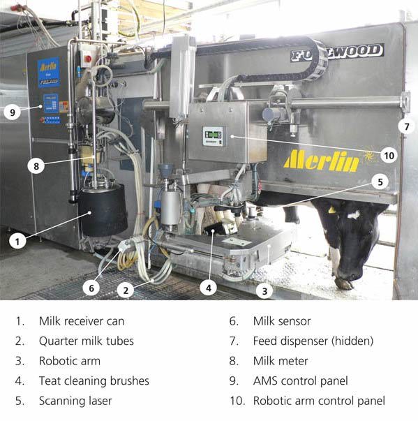 Ams Main Features