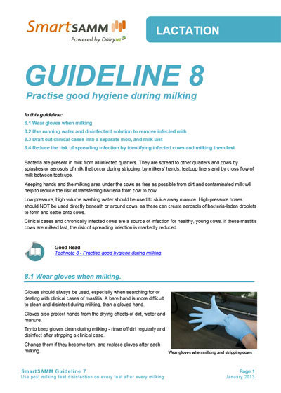 Guideline 8