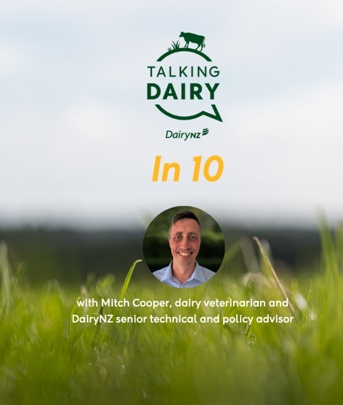 TD In 10 Ep 17 What's New