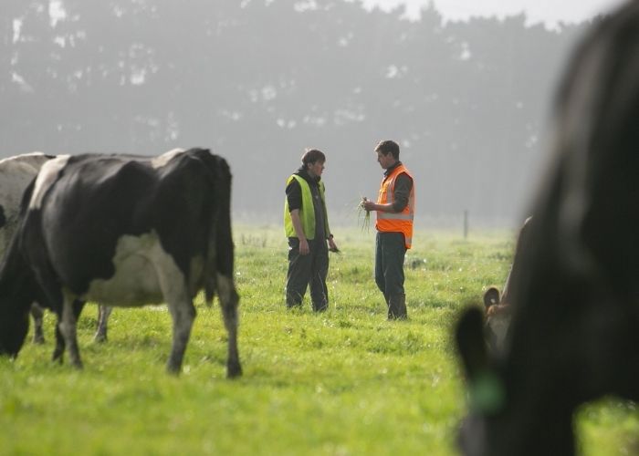 Dairy Training Summary Image 700X500px