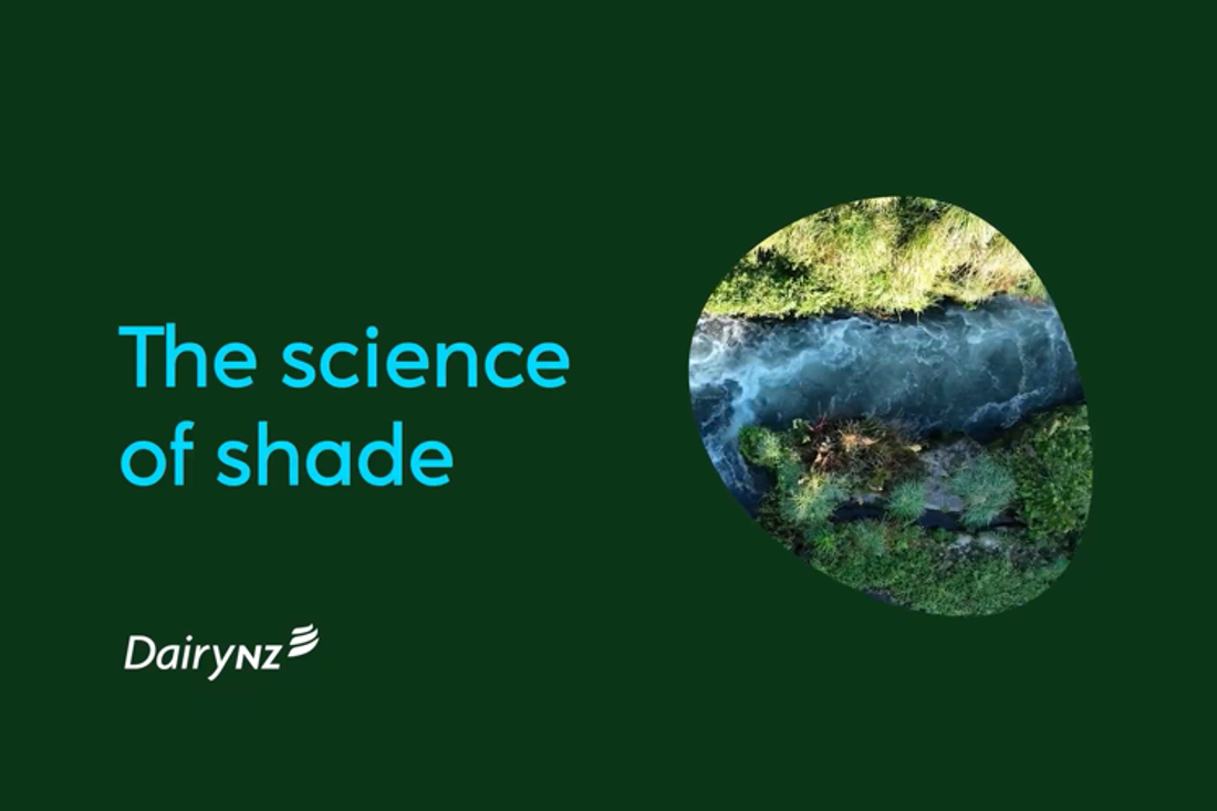 Riparian Planting The Science Of Shade Video Placeholder Image 747X498