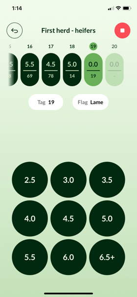 Body Condition Score App scoring