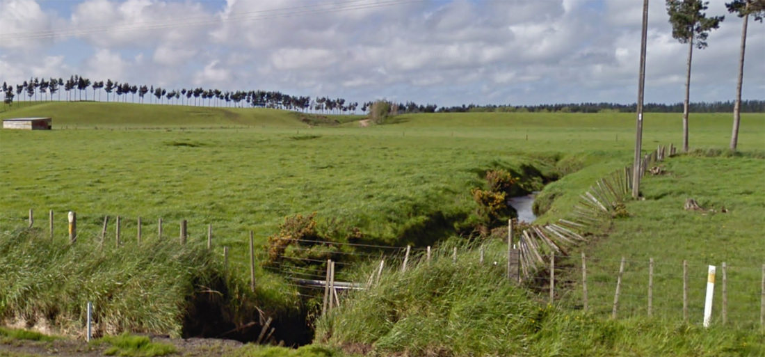 Riparian Panting Manawatu Hastings Image1 1300X606
