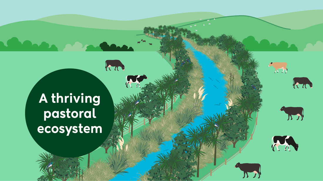 Ecosystem Health Illustration Video Thumbnail