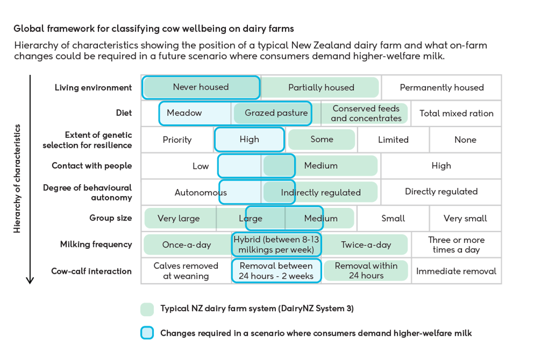 Inside Dairy November 2025 January 2026 Cow Care Helps Set New Zealand Dairy Apart Global Framework Graphic V4