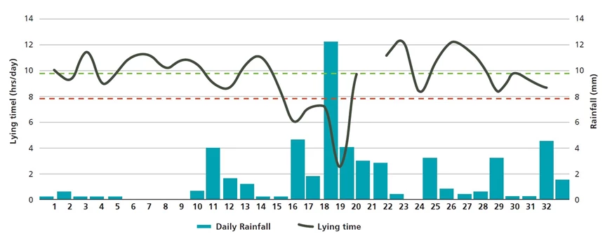 Results from a study on cow lying time conducted at the Southern Dairy Hub