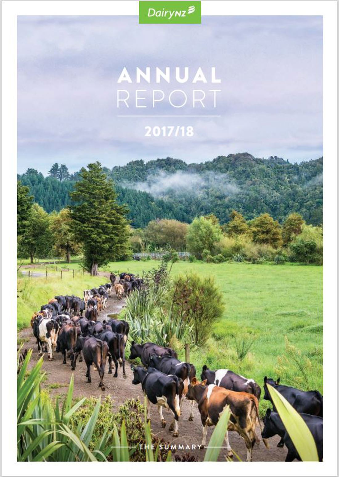 Annual Report 2017 2018 Summary Image