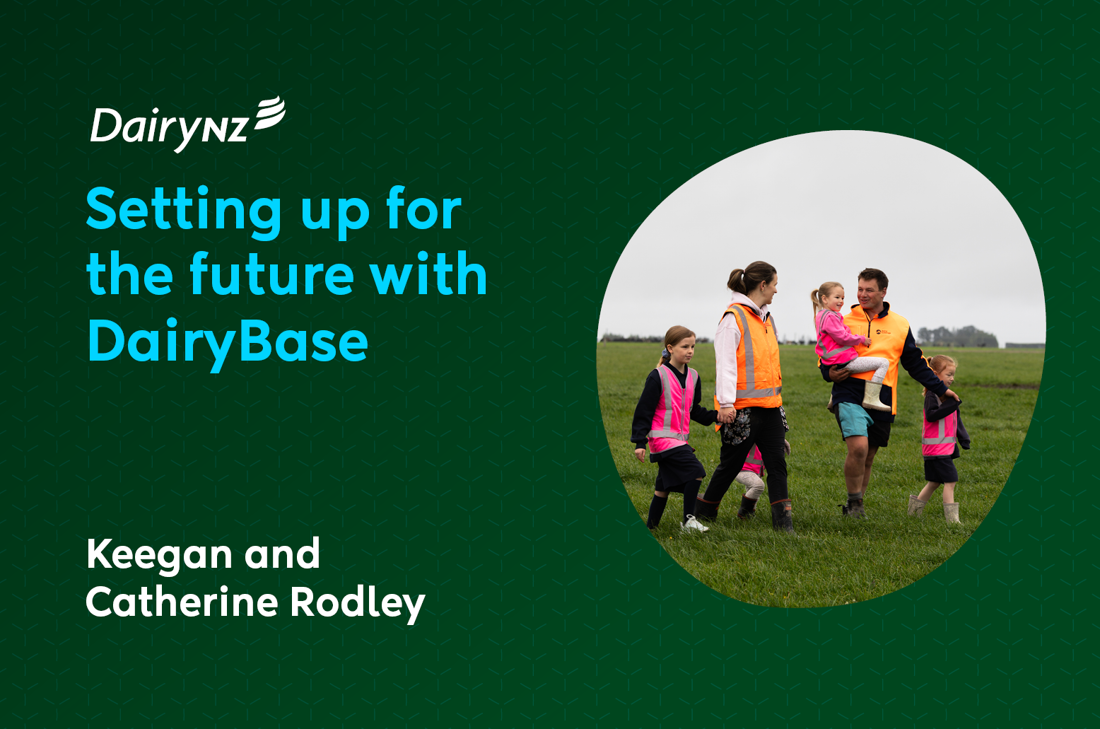 Pine Grove Video Cover Image