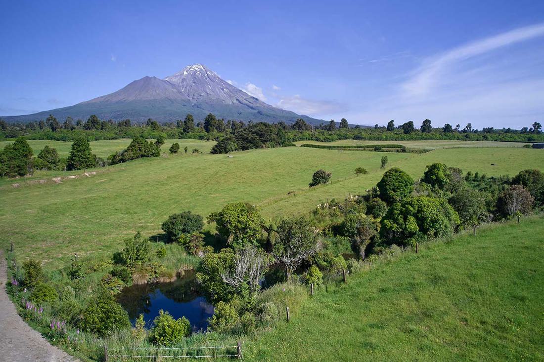 Riparian And Wetland Restoration Taranaki Paul Kuriger 1500X1000