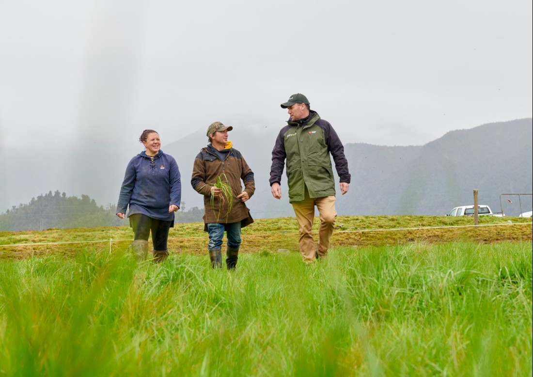 Director Elections Homepage Promo Image Jan 2026