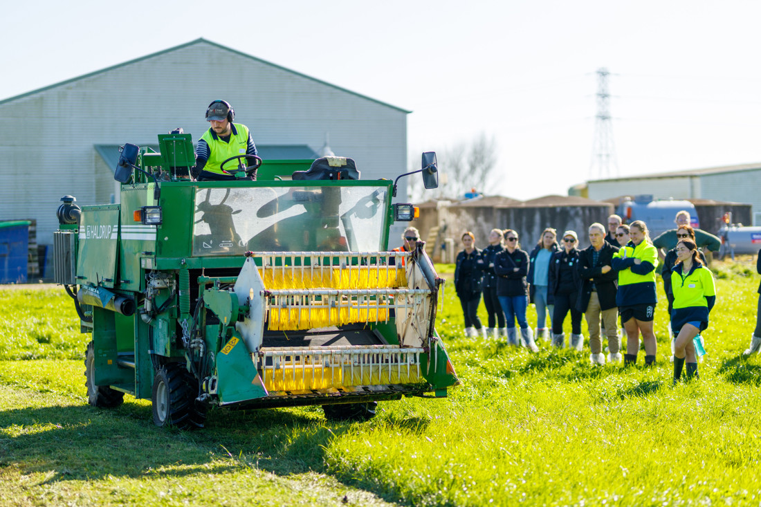 068 Dairynz Research Farms Newstead 25May2023 3600Px